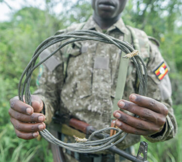 David Shepherd Wildlife Foundation