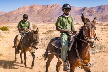 David Shepherd Wildlife Foundation