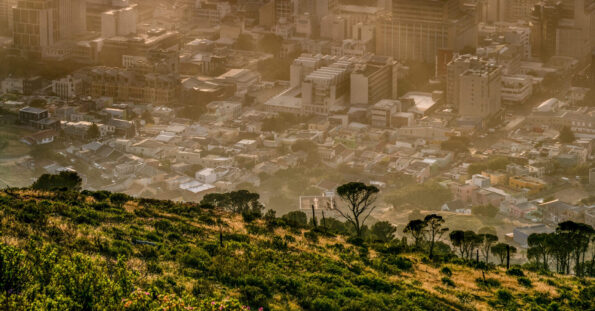 David Shepherd Wildlife Foundation