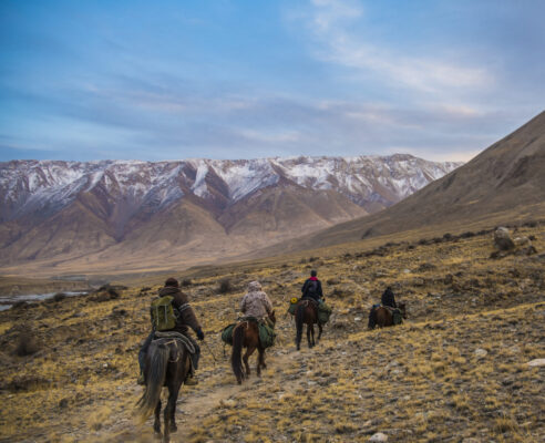 David Shepherd Wildlife Foundation