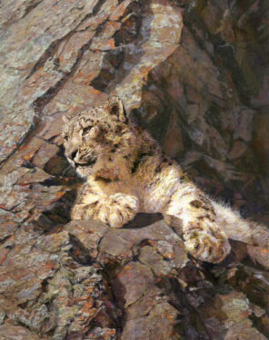 David Shepherd Wildlife Foundation