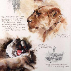 David Shepherd Wildlife Foundation