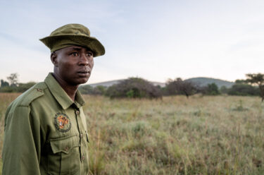 David Shepherd Wildlife Foundation