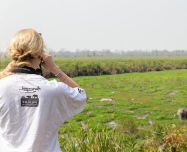 David Shepherd Wildlife Foundation