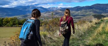 David Shepherd Wildlife Foundation