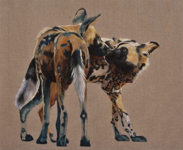 David Shepherd Wildlife Foundation