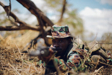 David Shepherd Wildlife Foundation