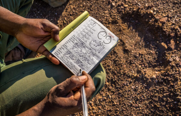 David Shepherd Wildlife Foundation