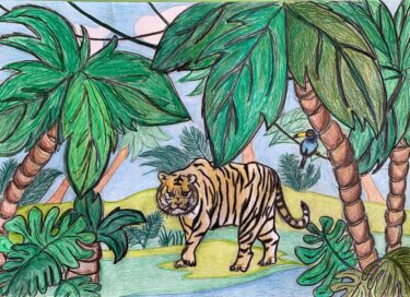 David Shepherd Wildlife Foundation