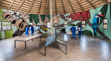 David Shepherd Wildlife Foundation