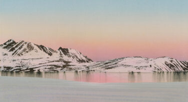 David Shepherd Wildlife Foundation