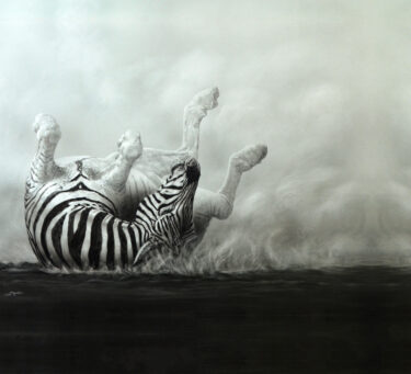 David Shepherd Wildlife Foundation