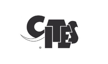 David Shepherd Wildlife Foundation