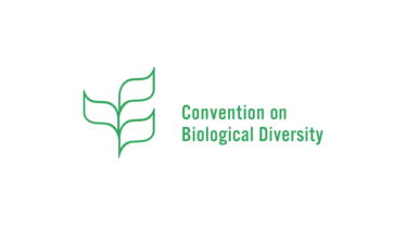 David Shepherd Wildlife Foundation