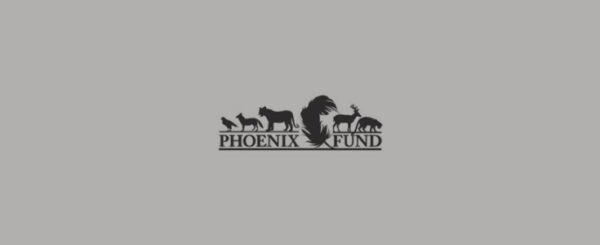 David Shepherd Wildlife Foundation