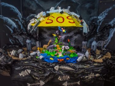 David Shepherd Wildlife Foundation