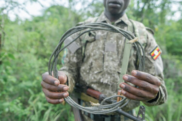 David Shepherd Wildlife Foundation