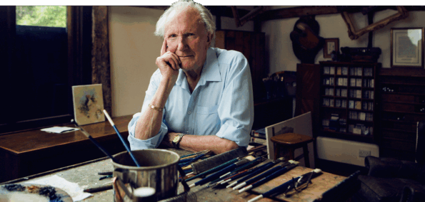 David Shepherd Wildlife Foundation