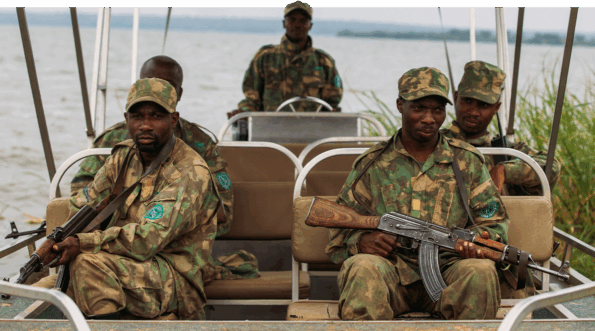 David Shepherd Wildlife Foundation