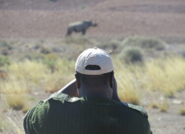 ranger watching rhino, wild, desert