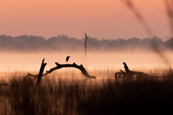 Sunset over lake, orange sky, bush