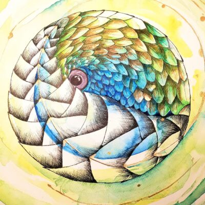 Pangolin artwork, colourful