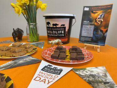 Create Your Own Fundraiser