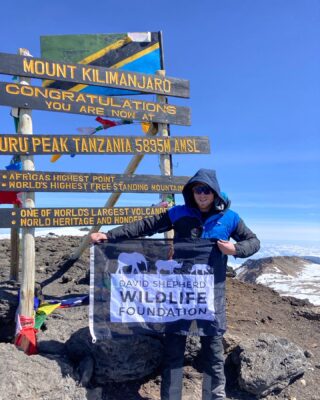 Tom Hicks Kilimanjaro for DSWF