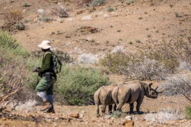 Tracker with black rhino credit marcus westberg