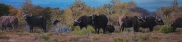 George Davies - An Evening Gathering - 80 x 20 - painting