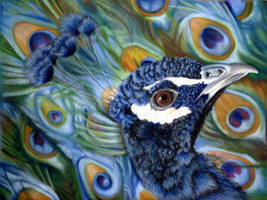 Imogen Christian - Precious Peacocks - 27 x 20 - drawing