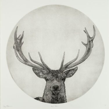Moon Stag