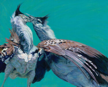 https://davidshepherd.org/shop/sandra-vick-three-craws-sat-upon-a-wall/