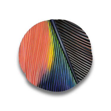 Ramphastos sulfuratus (Keel-billed toucan) 4