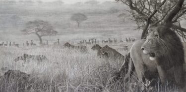 Watching the Hunters