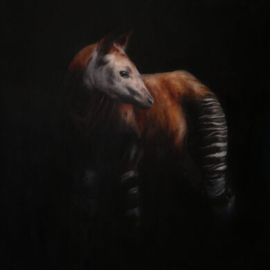Carina-Kramer-Okapi-65-x-65-painting.jpg