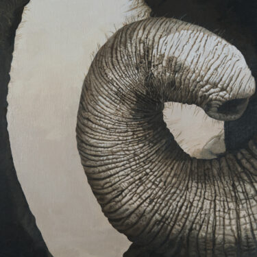 Nathalie Daigle - Growth - 51 x 51 - painting.jpg