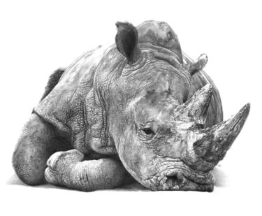 Ratna Sari - Risky Disposition - 43 x 56 - Graphite on paper .jpg