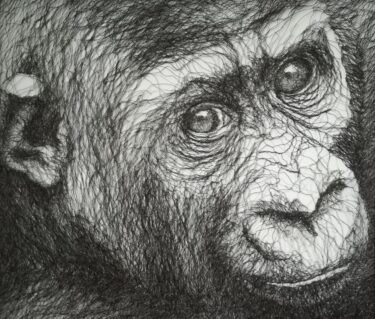 Sadie-Aucott-Gorilla-Infant-70-x-60-Wire-Artwork.jpg
