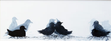 Sandra Vick - Kittiwakes on a Nest - 70 x 30 - painting.jpg