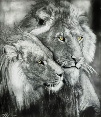 Sherif-Hakeem-My-Brother-My-Protector-41-x-48-White-Charcoal.jpeg