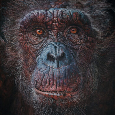 Steve-Nayar-Chimpanzee-90-x-90-painting.jpg