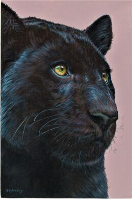No. 28 - Black Panther