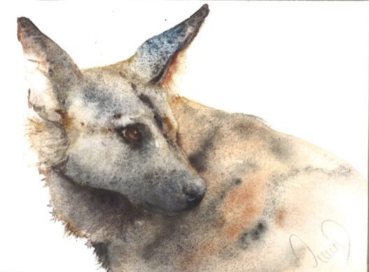 No. 53 - Painted Dog