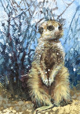 No. 65 - Meerkat