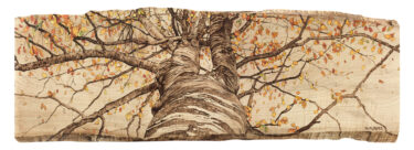 Tilia Holmes