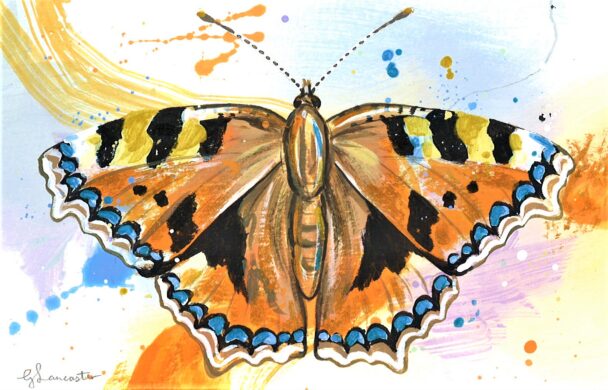 No. 76 - Small Tortoiseshell