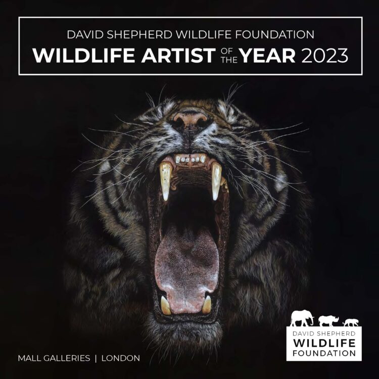 Wildlife Artist of the Year 2023 Winners Announced David Shepherd