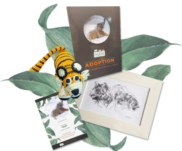 DSWF Tiger Adoption Pack