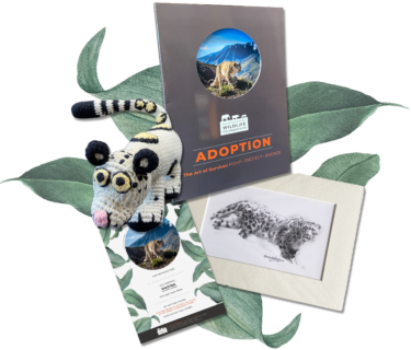 DSWF Snow Leopard Adoption Pack